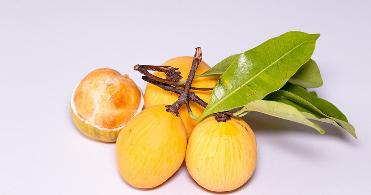 Hào khí miền Đông: Cả một trời thương