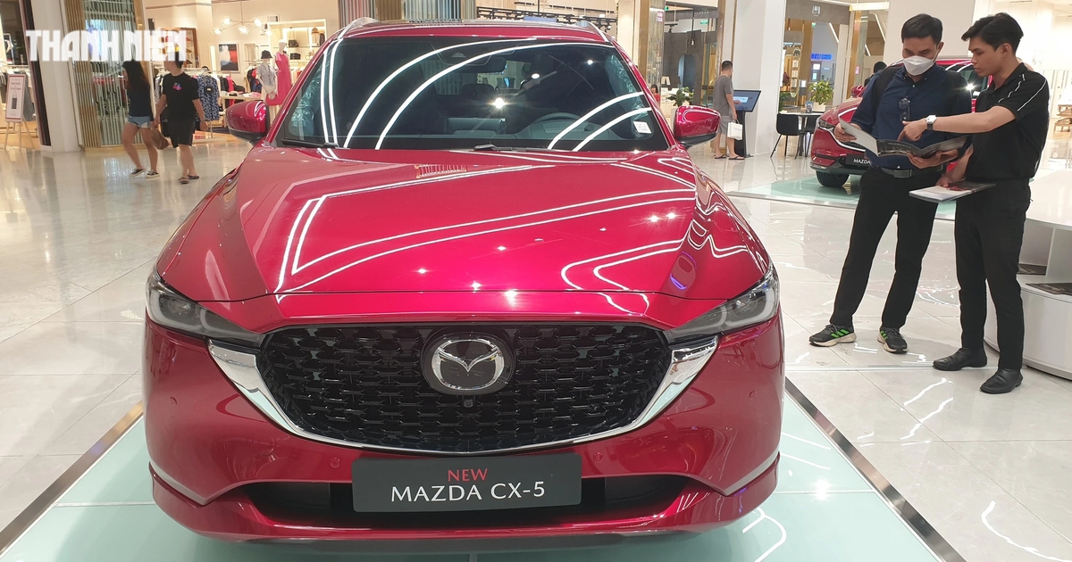 4 phân khúc ô tô tại Việt Nam sớm định đoạt ngôi vương doanh số