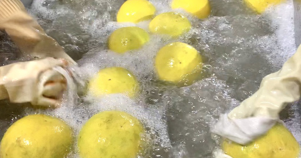 Cận cảnh dây chuyền xử lý bảo quản bưởi Diễn xuất châu Âu