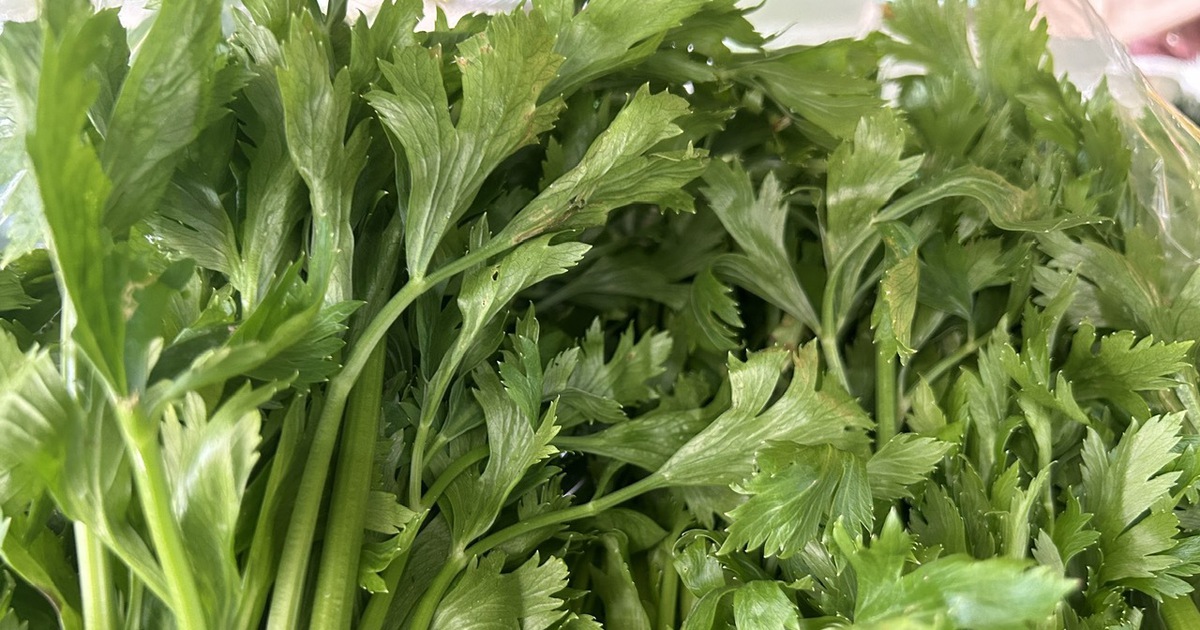 Cần tây có nhiều lợi ích nhưng cần lưu ý gì khi sử dụng?