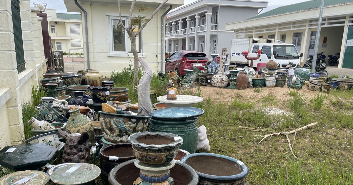 Đà Lạt: Khởi tố nhóm chuyên trộm cắp chậu hoa, bình gốm cổ