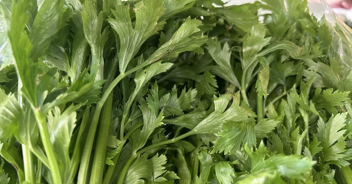 Chuyên gia: Cần tây có thể giúp giảm cân