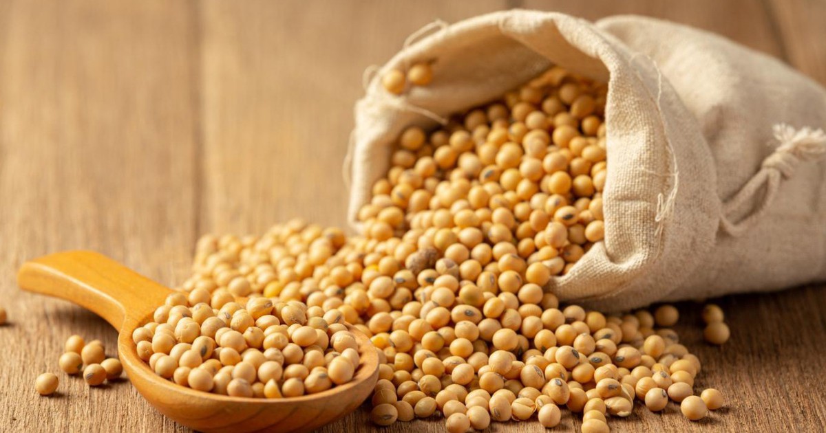 Lợi ích của đậu nành với các lứa tuổi