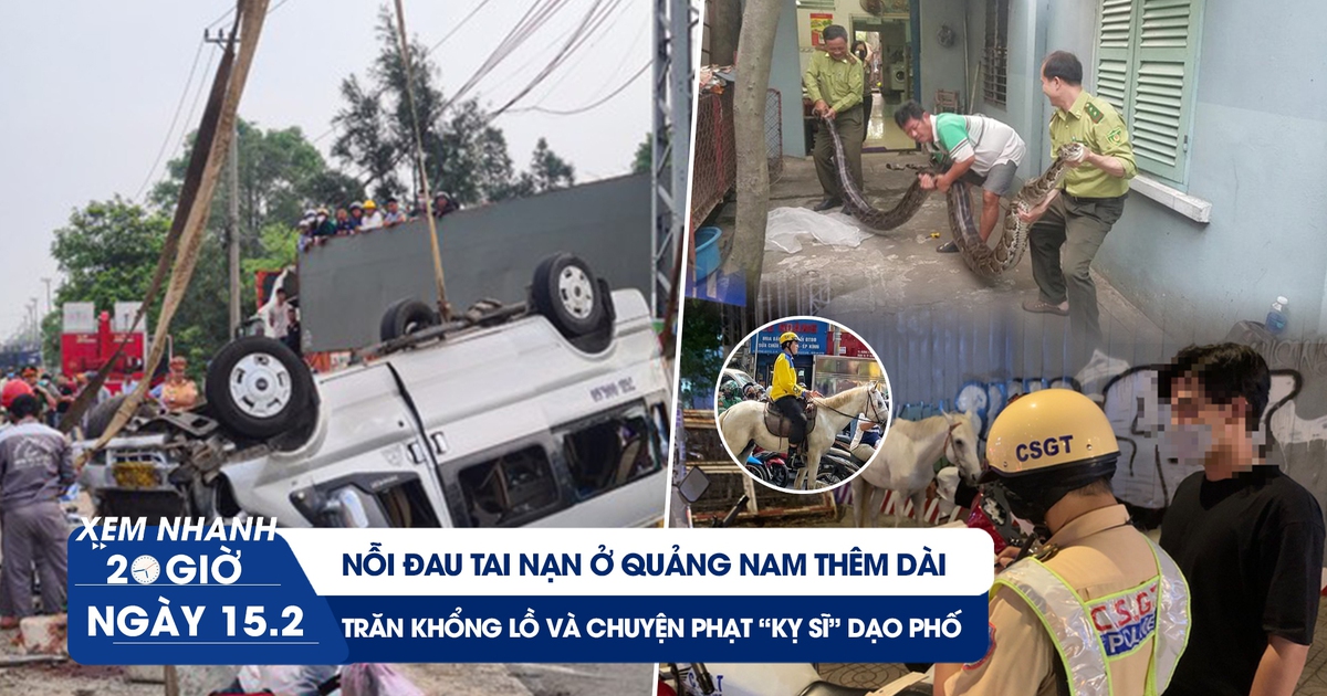 Xem nhanh 20h: 'Kỵ sĩ' cưỡi ngựa trên phố bị phạt | Lạ lùng chuyện con trăn khổng lồ