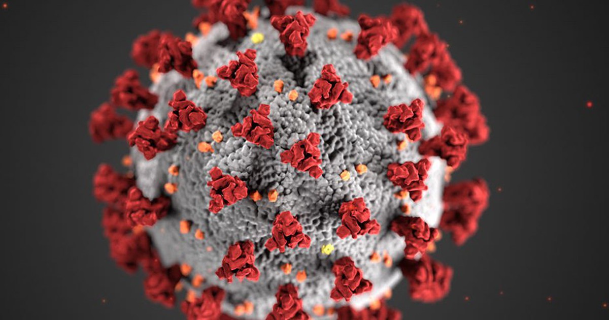 WHO sẽ ‘thúc đẩy' tìm câu trả lời về nguồn gốc Covid-19