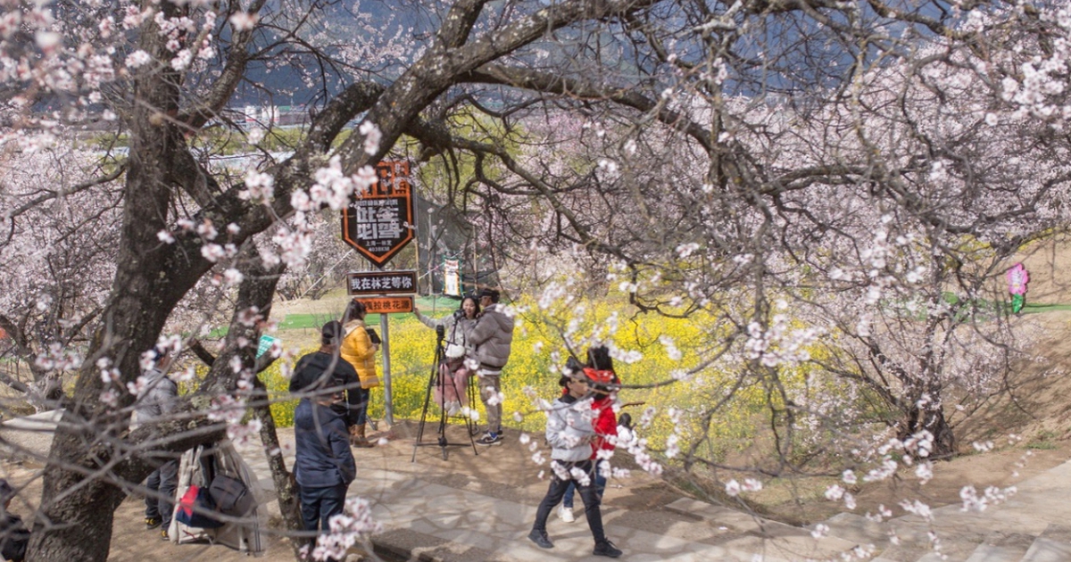 Tỉnh 'nhà giàu' Trung Quốc tặng tiền cho công ty du lịch hút khách quốc tế