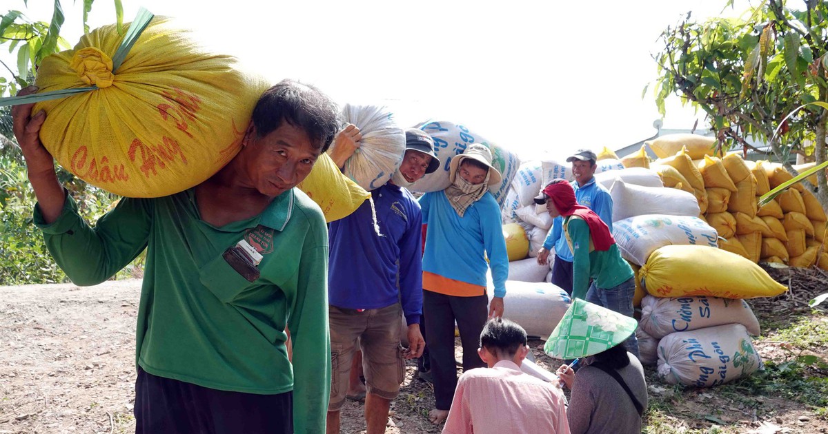 Indonesia xem Việt Nam là một trong 5 nguồn cung chính cho 2 triệu tấn gạo