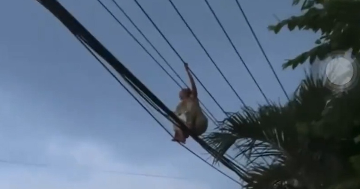 Giải cứu người phụ nữ đi trên đường dây điện ở Bình Dương