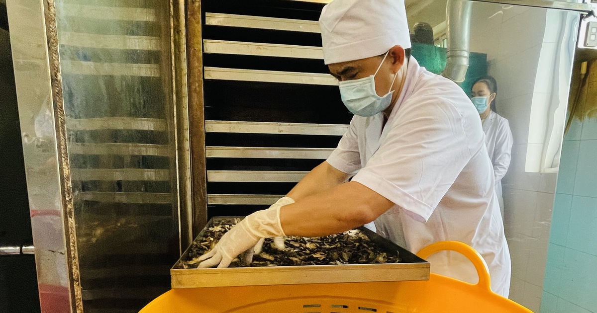 Bệnh viện ở TP.HCM sản xuất 62 sản phẩm thuốc y học cổ truyền