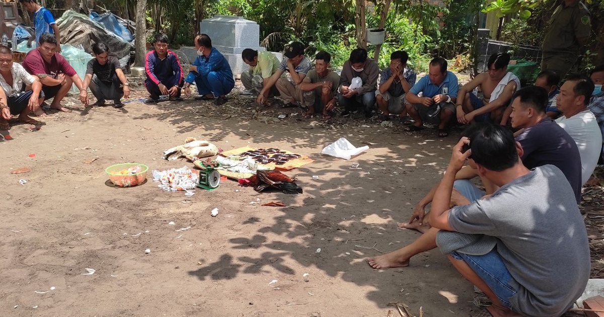 Vĩnh Long: Bắt quả tang 19 người tụ tập đá gà ăn tiền tại khu mộ