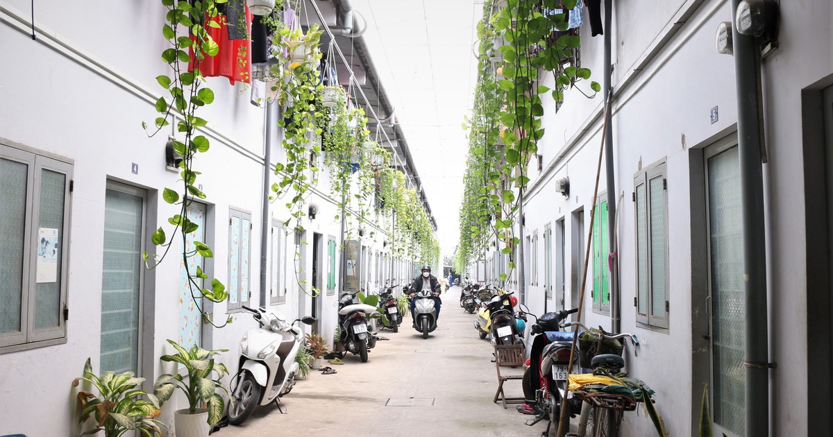 Thuê trọ ở TP.HCM: Chỗ ở của người nghèo