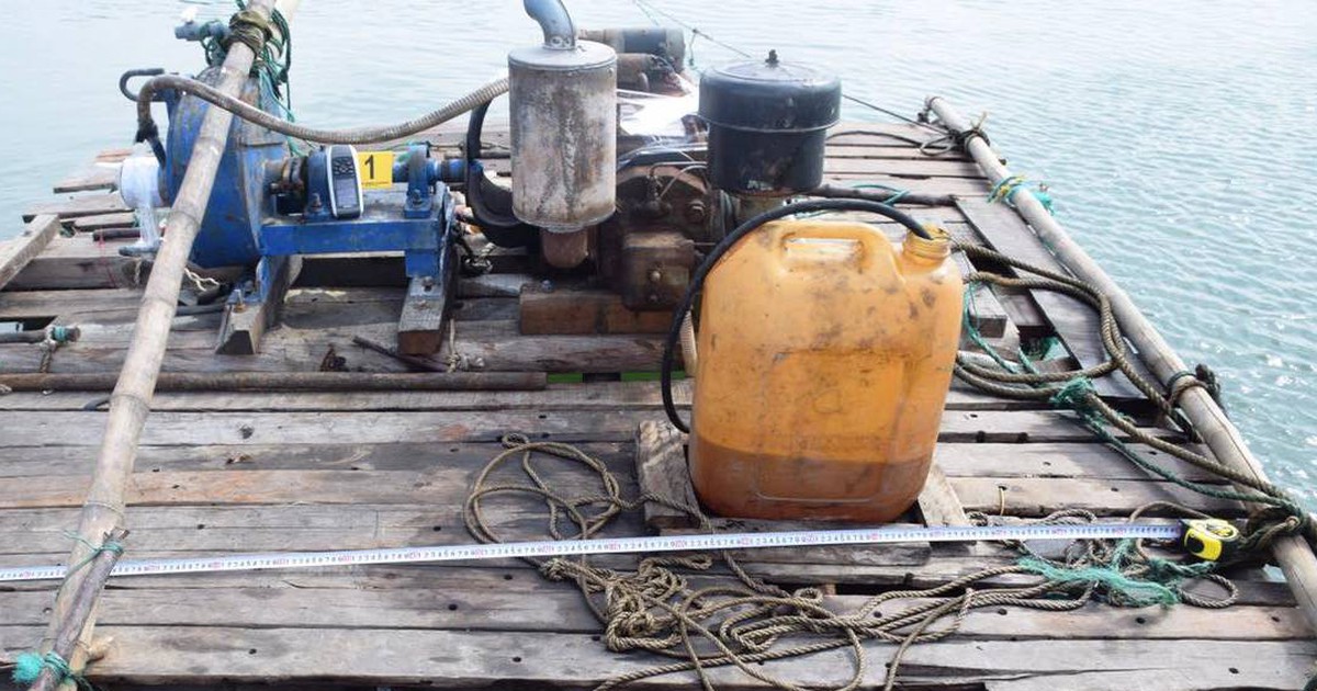 Quảng Nam: Khởi tố vụ án vi phạm quy định về khai thác tài nguyên