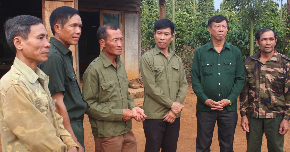 Vụ án 6 cựu chiến binh 'hủy hoại rừng' ở Đắk Nông: TAND TP.Gia Nghĩa trả hồ sơ để điều tra lại