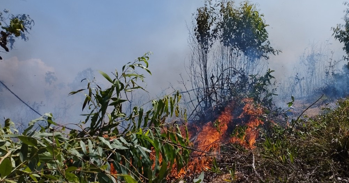 Bình Định: Dập tắt đám cháy rừng trên núi Kỳ Sơn