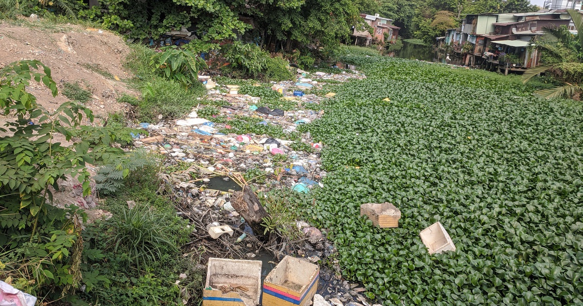 Rạch Lăng tắc nghẽn vì lục bình và rác