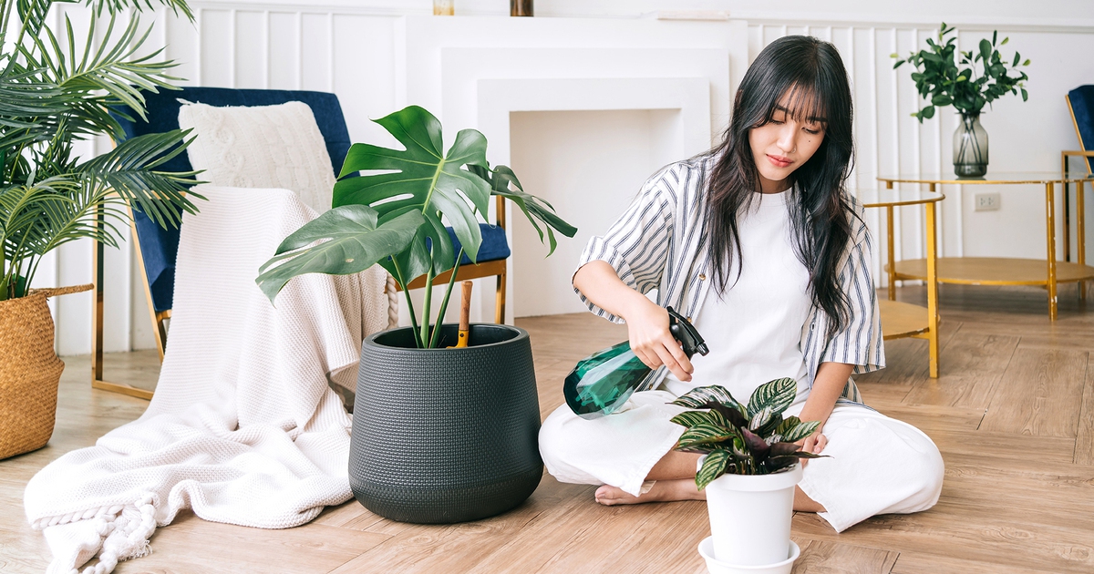 'Chút Yên từ Thiên Nhiên' tưởng chừng sẽ lạ mà quen