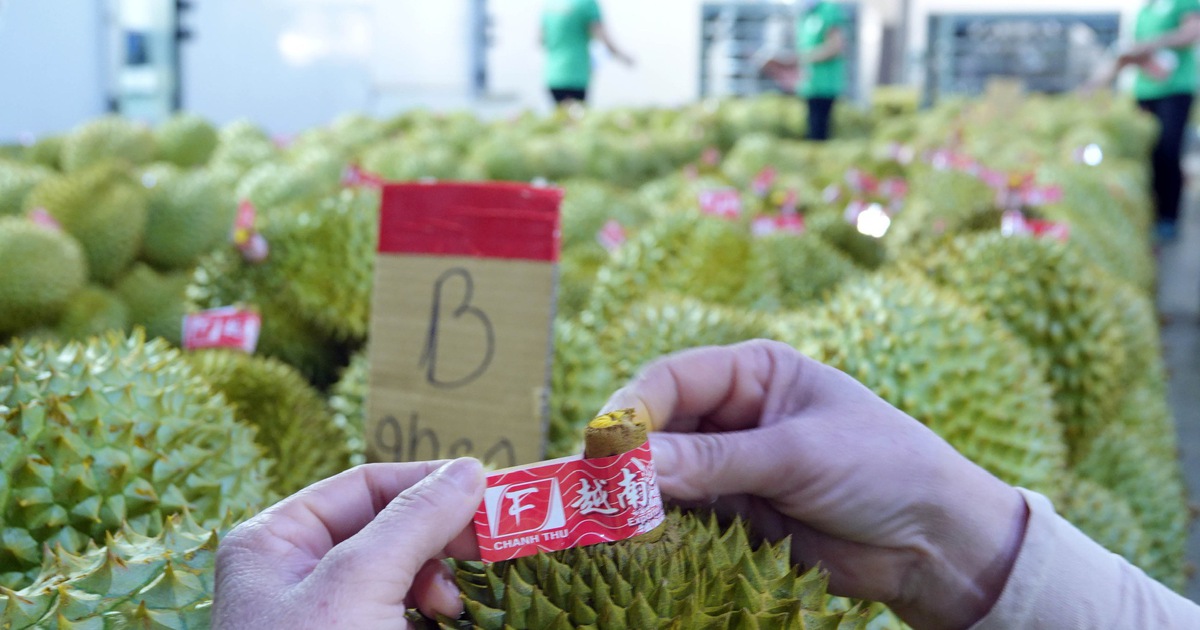 Phối hợp giải quyết tình trạng ùn tắc tại cửa khẩu biên giới