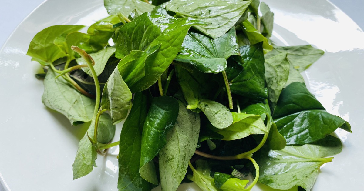 Nước rau diếp cá có tốt không?