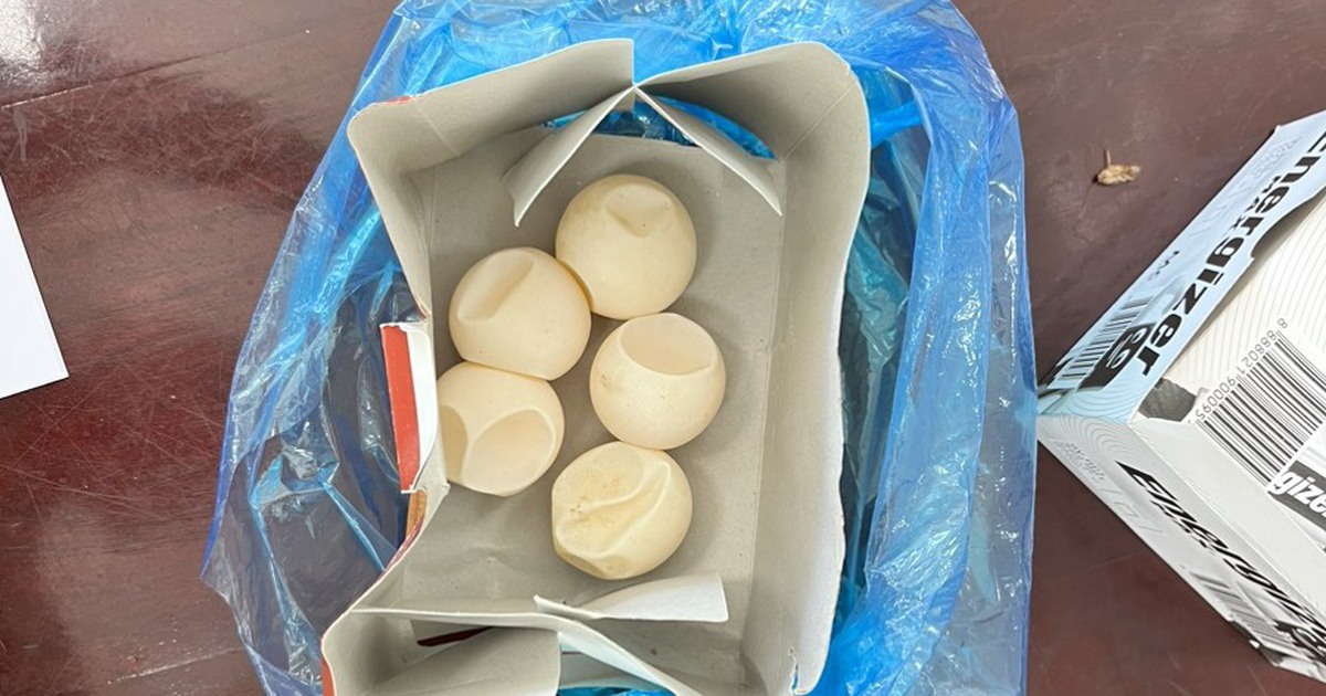 Tàng trữ, vận chuyển 1 quả trứng vích có thể bị phạt đến 5 năm tù