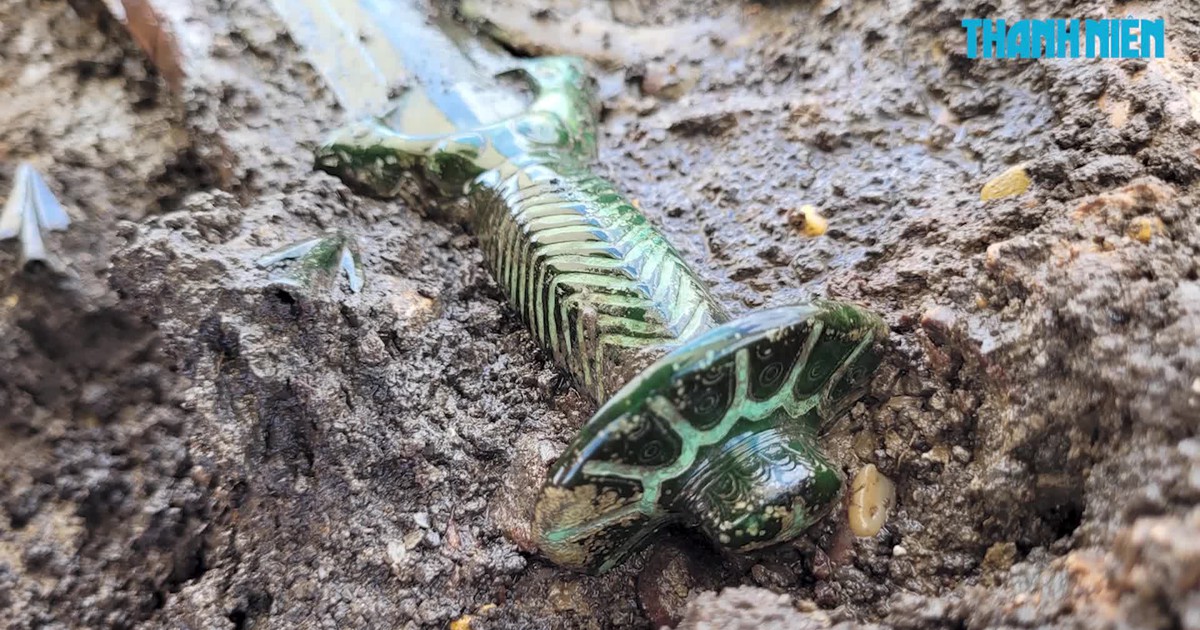 Kinh ngạc thanh kiếm đồng 3.000 năm vẫn gần như còn bóng loáng