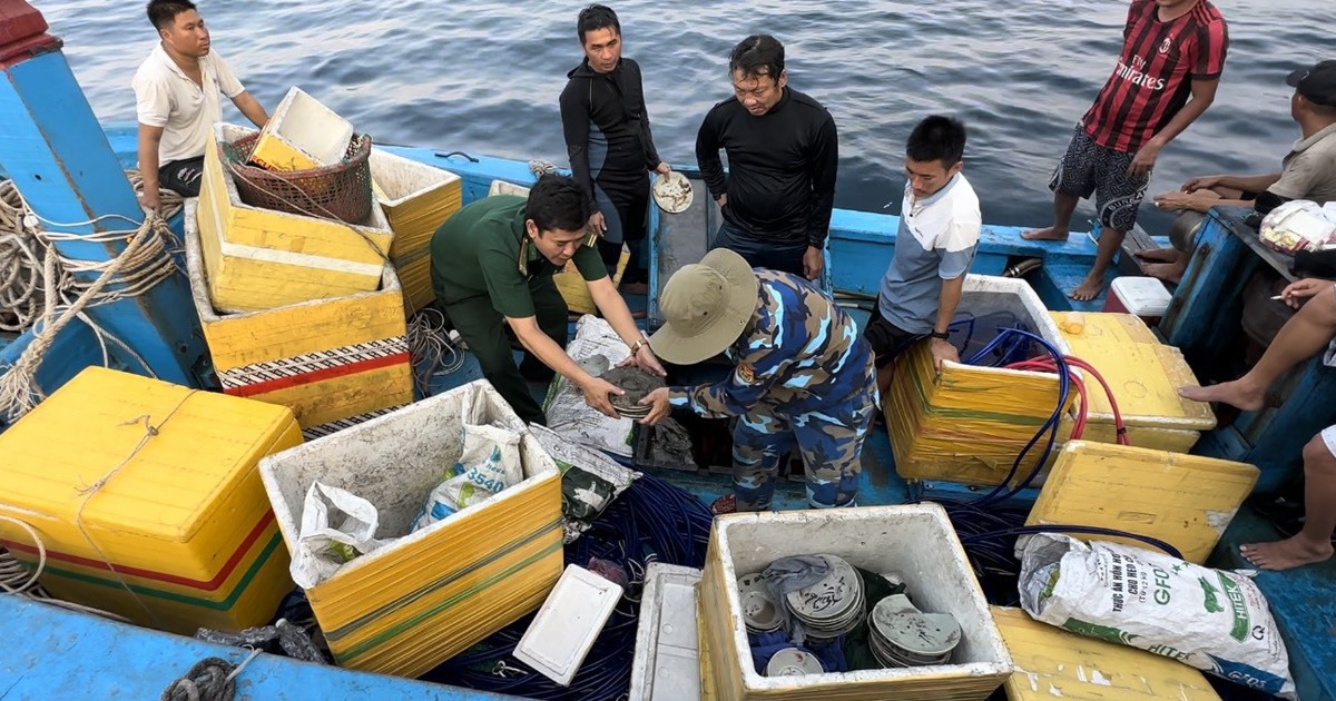 Quảng Ngãi: Đề nghị Bộ VH-TT-DL xem xét phương án trục vớt cổ vật dưới nước