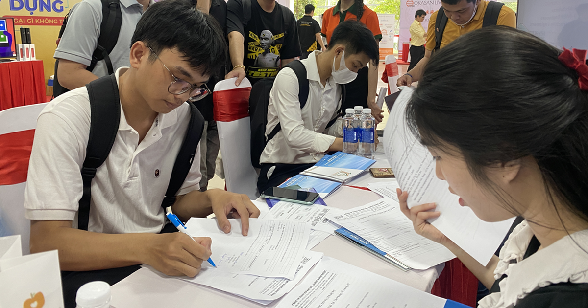 Nhiều việc làm hấp dẫn chờ sinh viên