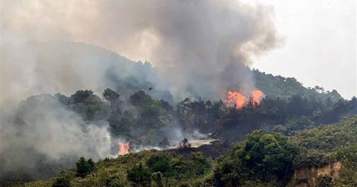Quảng Ninh: Liên tiếp xảy ra cháy rừng khiến 2 người thiệt mạng