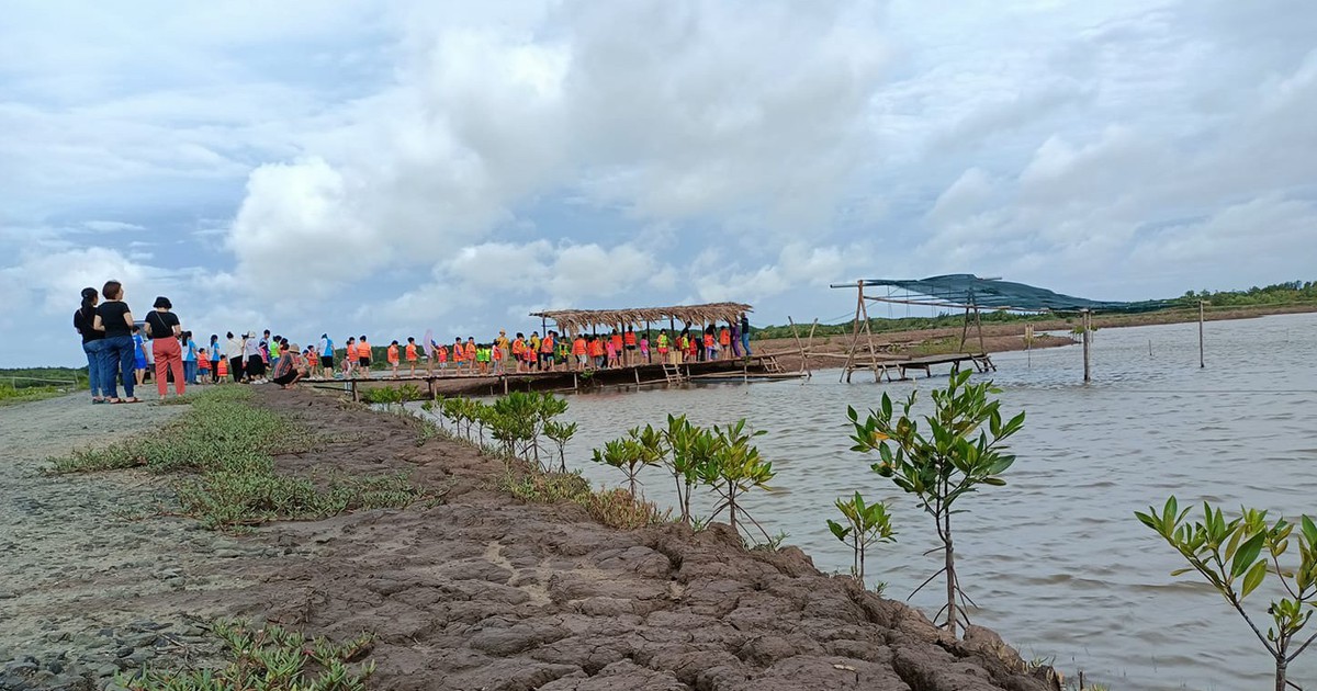 Thạc sĩ về làm du lịch kết hợp giữ rừng