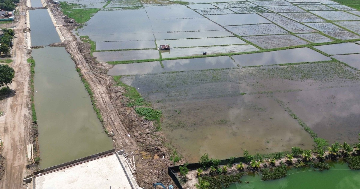 Người dân 'tố' dự án cải tạo kênh gây ngập, gần 100 mẫu ruộng phải bỏ hoang
