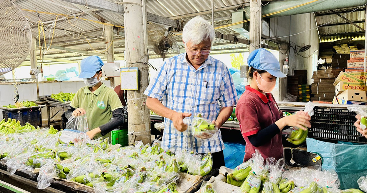 Đưa nông sản từ trang trại thẳng đến siêu thị