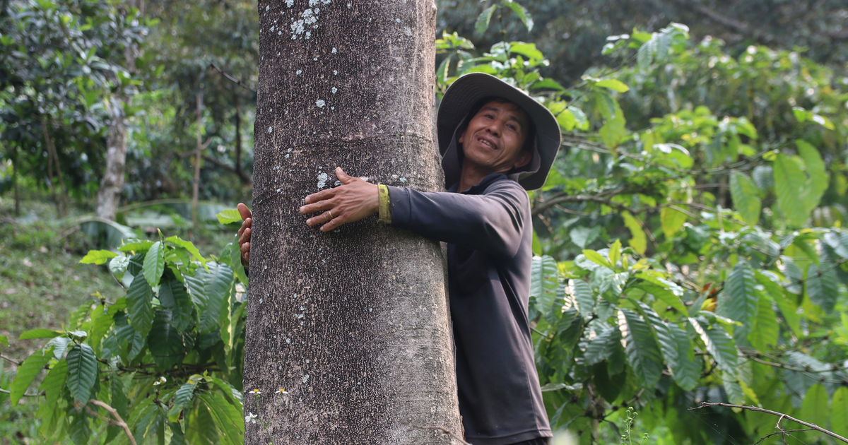 Ông nông dân lạ đời: 'Tạo chút phước đức cho cộng đồng, có lỗ lã đâu mà lo'