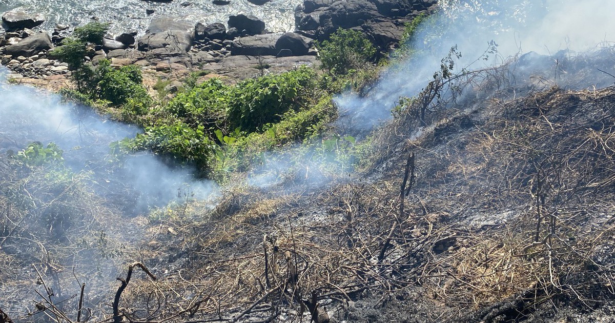 150 người khống chế đám cháy rừng trên đèo Hải Vân