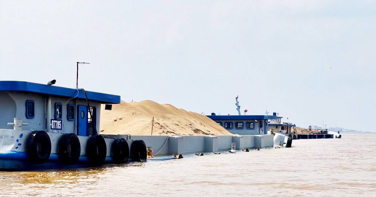 Khủng hoảng cátở ĐBSCL