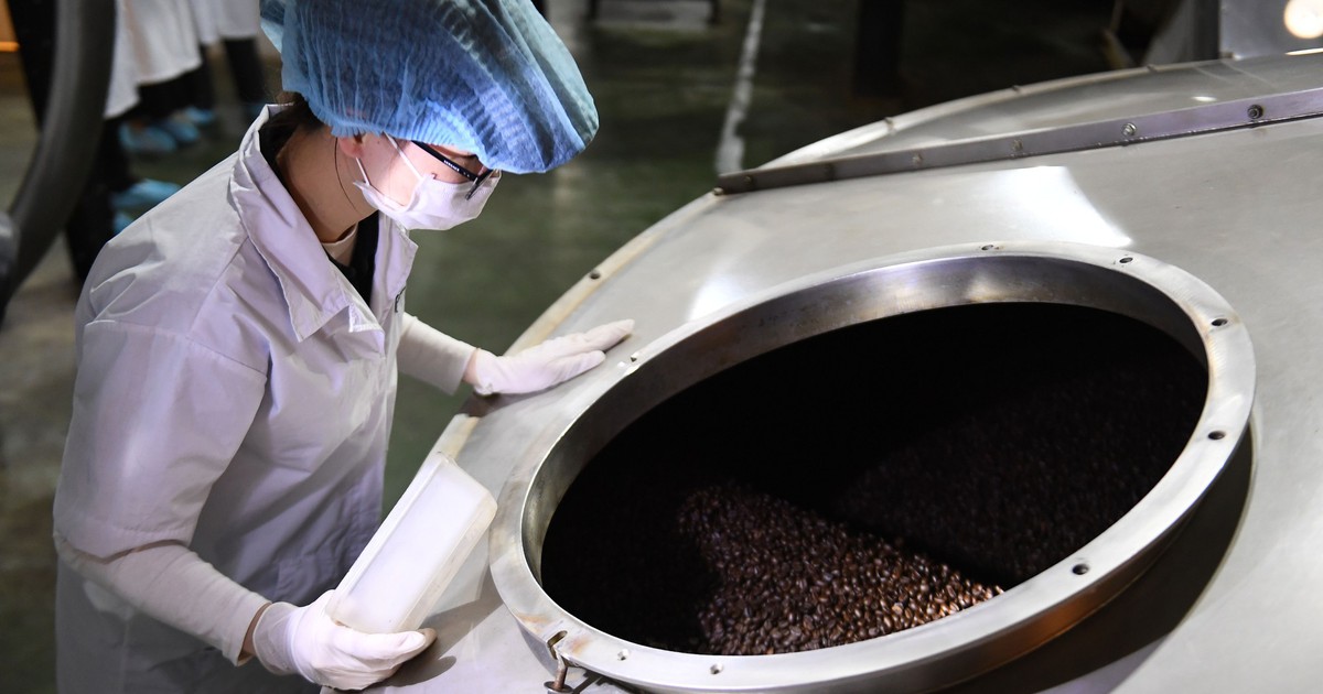 Giá cà phê Việt Nam tăng kỷ lục