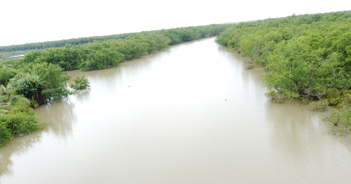Người dân băn khoăn trước thông tin thu hẹp Khu bảo tồn thiên nhiên Tiền Hải