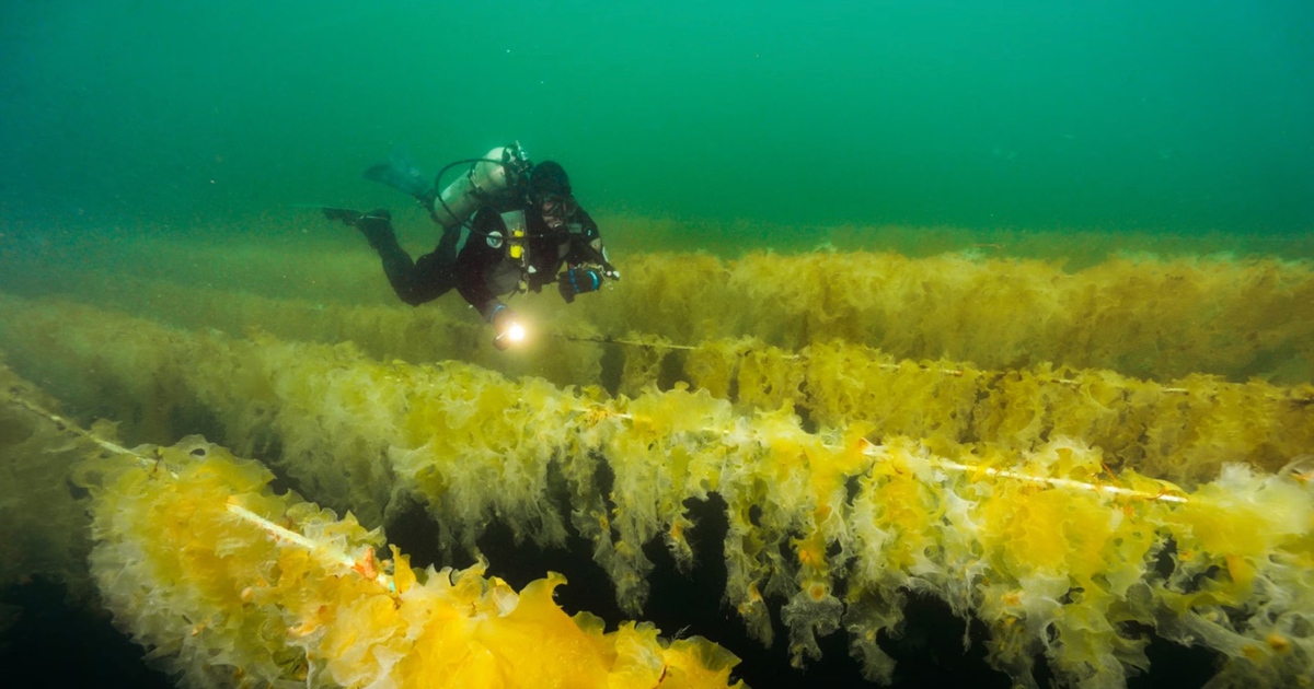 Giải tỏa nỗi lo cho người có hệ miễn dịch suy giảm