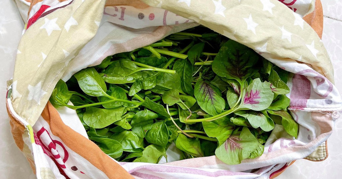 Làm sao để bảo quản rau củ được tươi ngon cả tháng?