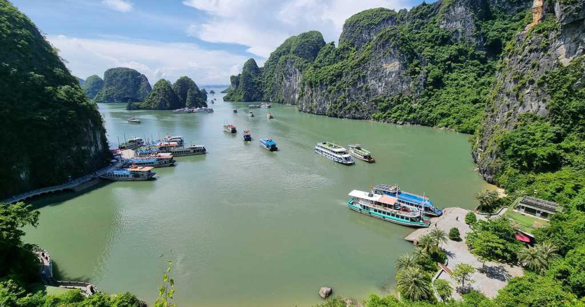 Vịnh Hạ Long - quần đảo Cát Bà thành di sản thế giới UNESCO liên tỉnh