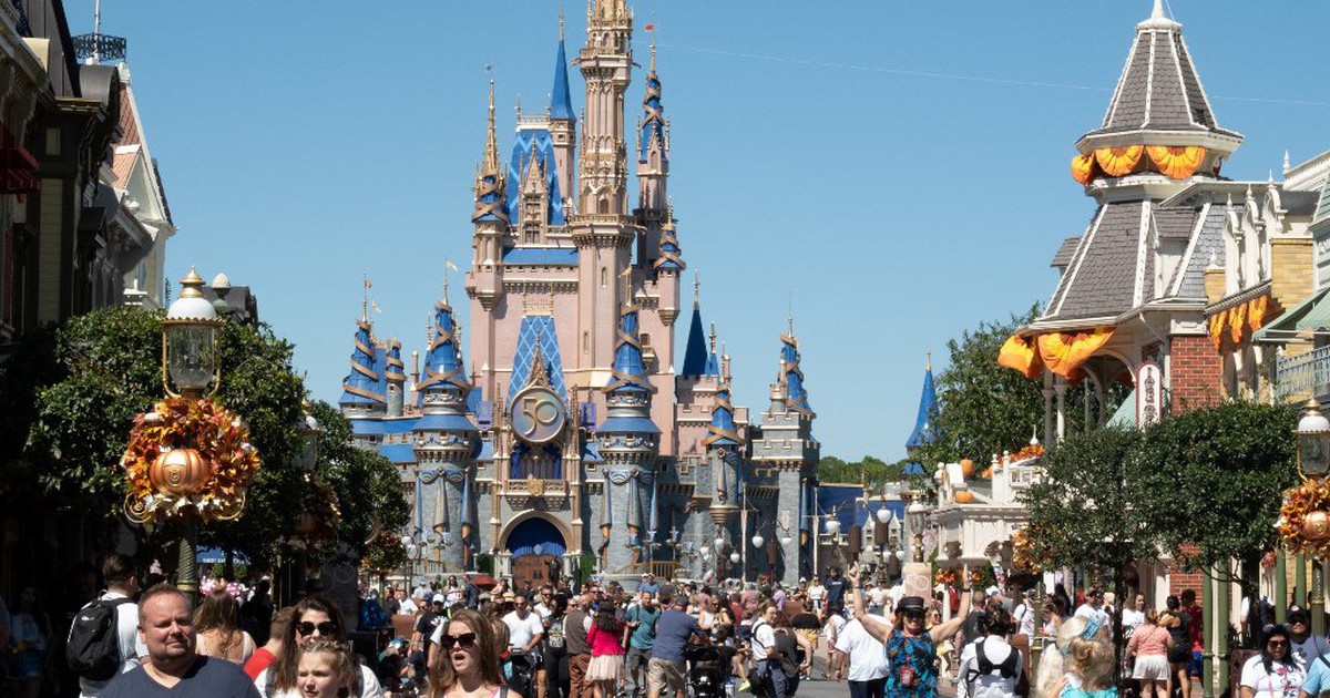 Gấu đen xông vào khu giải trí Walt Disney World đã bị bắt