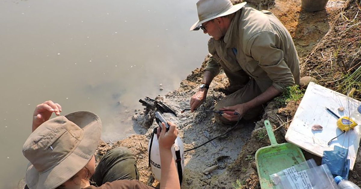 Các nhà khảo cổ phát hiện 2 thanh gỗ ở Zambia cách đây gần nửa triệu năm