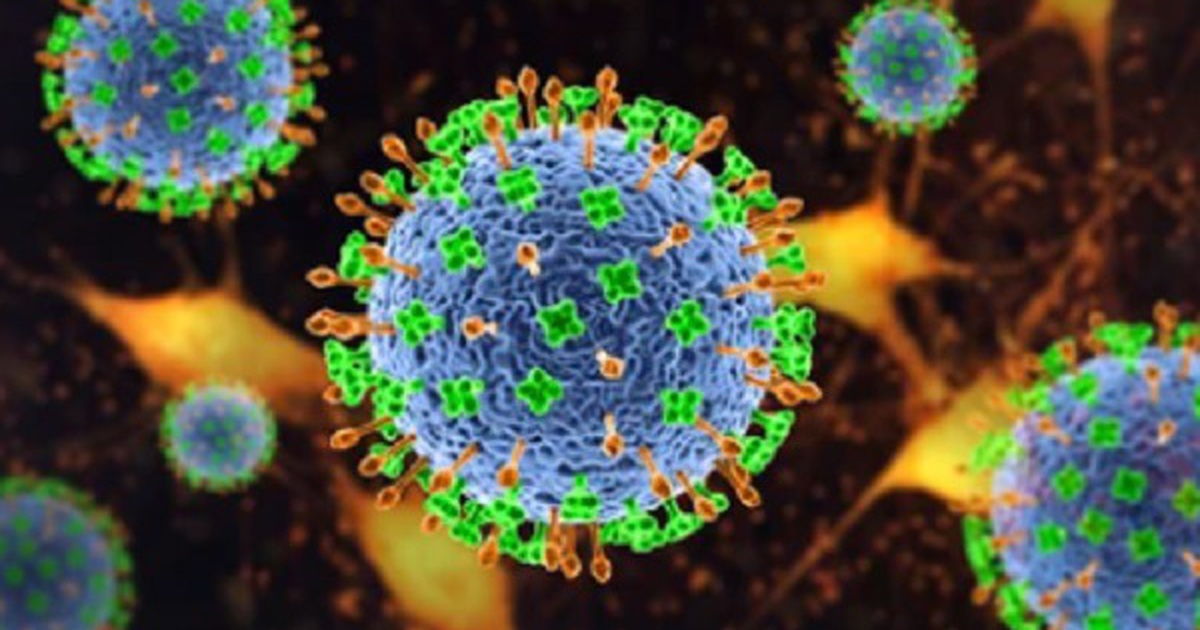 Công nghệ 11,  Vi rút Nipah