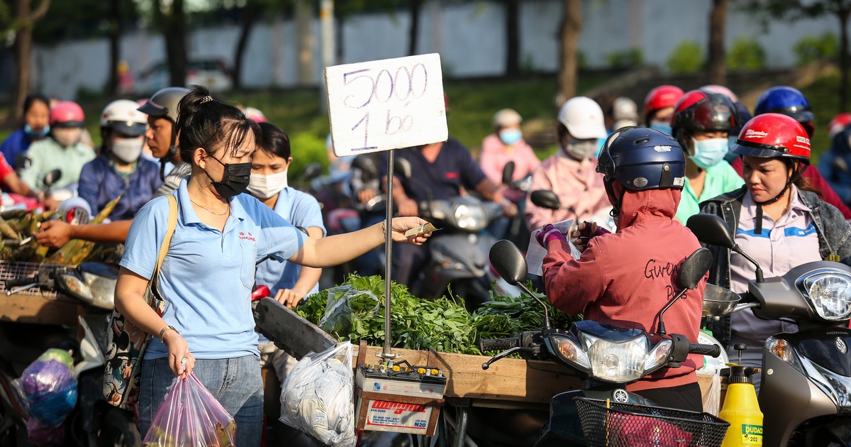 thanhnien.vn