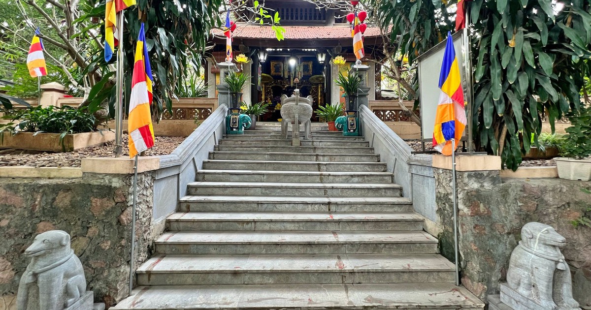 thanhnien.vn