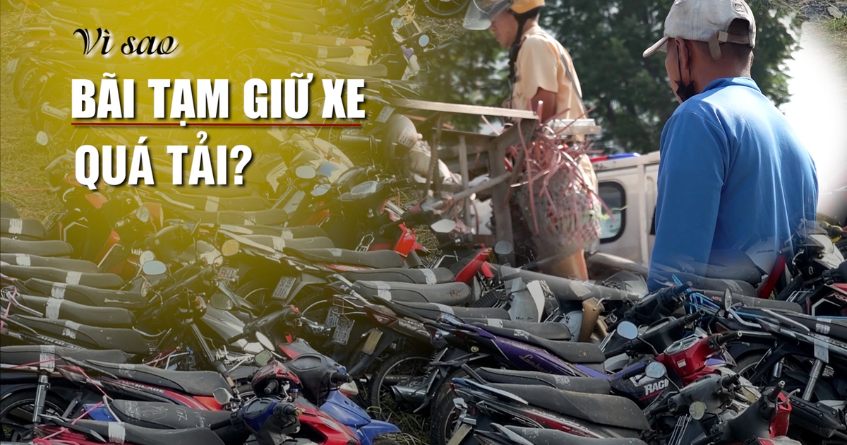 Cận cảnh bãi tạm giữ xe vi phạm chật cứng: Quá tải và lãng phí