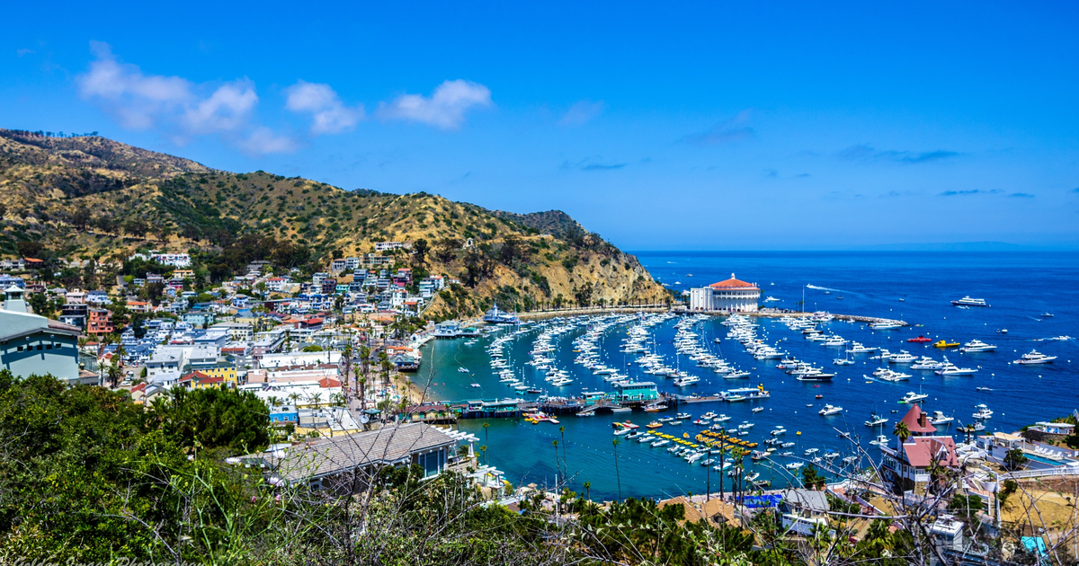 5 trải nghiệm không thể bỏ lỡ khi tới đảo Santa Catalina