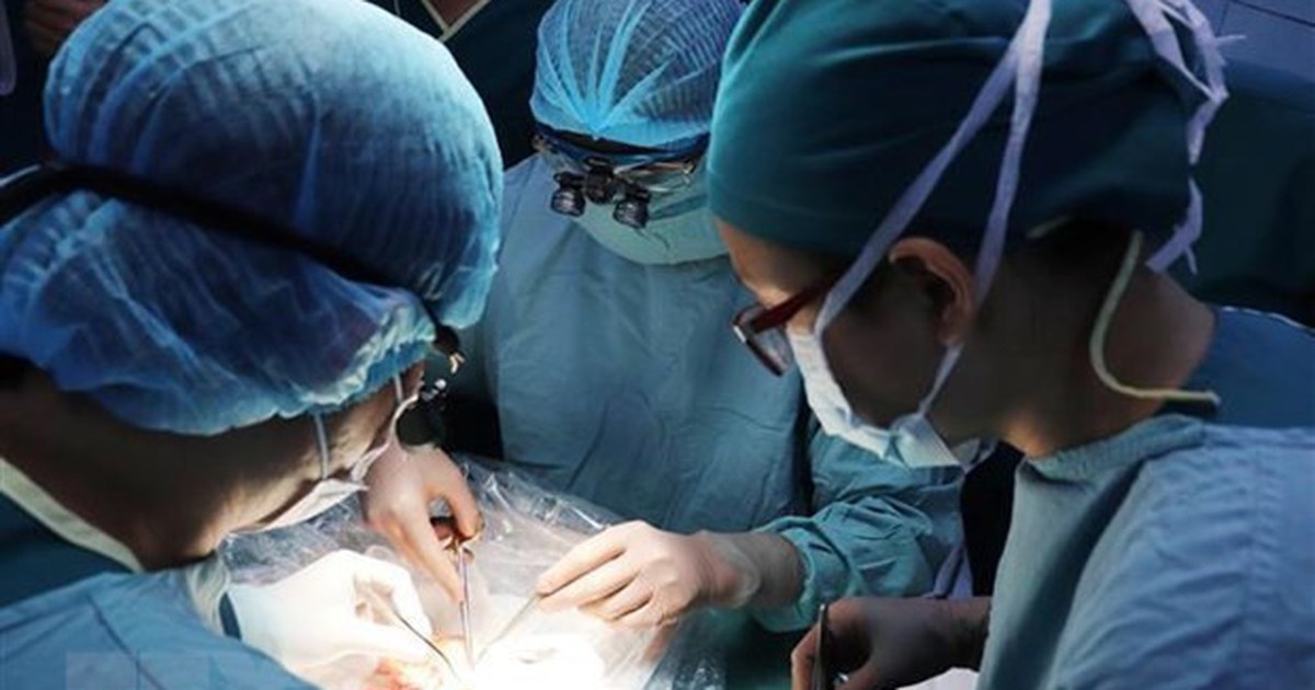 Bệnh viện Nhi đồng 2 tăng tốc 3 ca ghép gan trong một tuần để cứu thêm trẻ