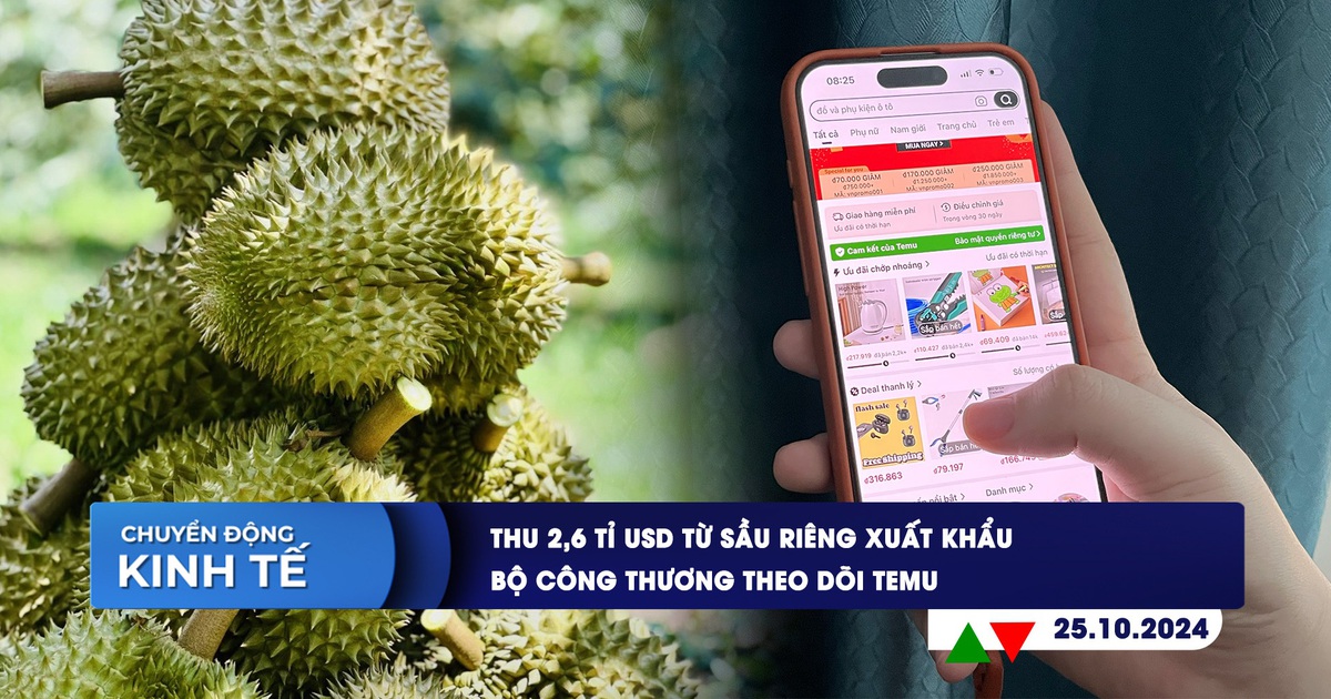 CHUYỂN ĐỘNG KINH TẾ ngày 25.10: Thu 2,6 tỉ USD từ sầu riêng xuất khẩu | Bộ Công thương theo dõi Temu