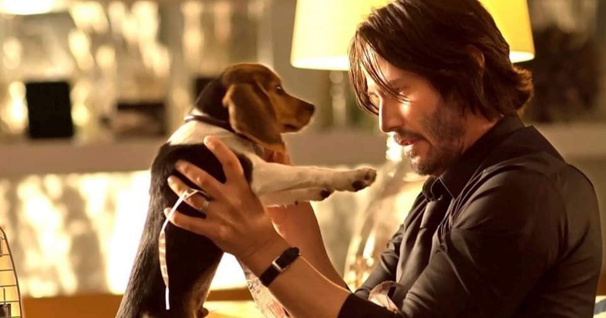 Chuyện ít biết về bộ râu thương hiệu của Keanu Reeves trong 'Sát thủ John  Wick'