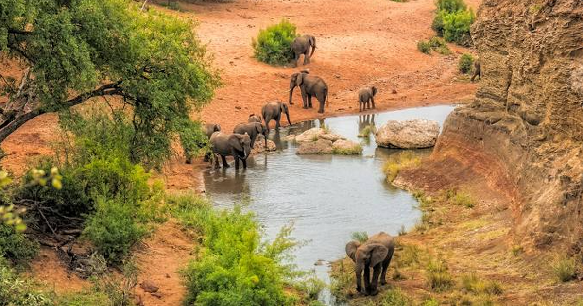 Những điều thú vị có thể bạn chưa biết về Nam Phi