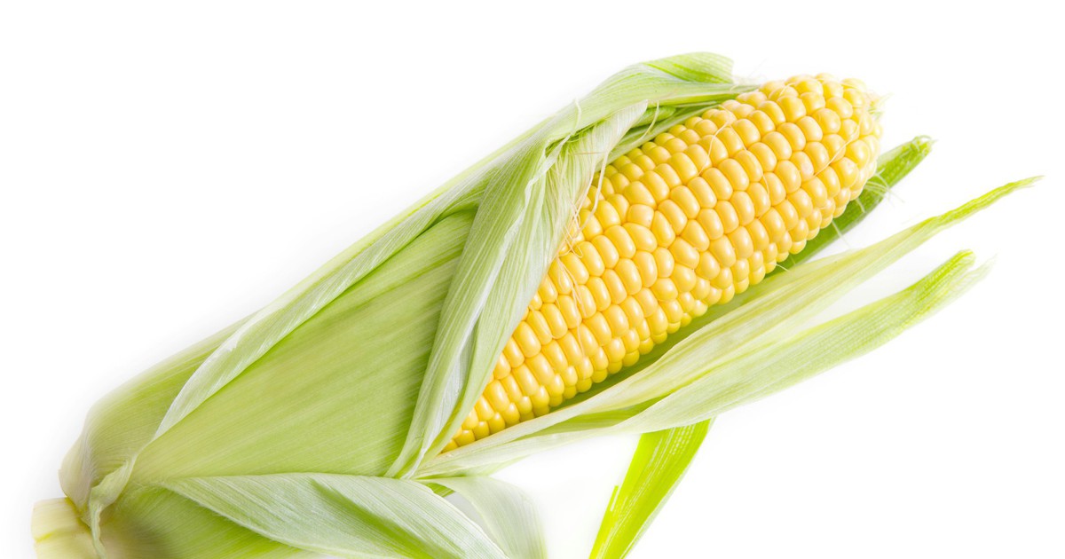 Bác sĩ 24/7: Người bệnh tiểu đường có nên ăn bắp?